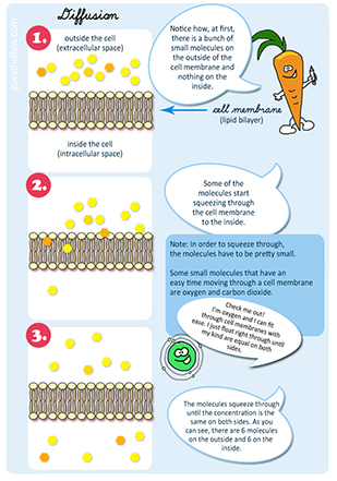 Science textbook graphic