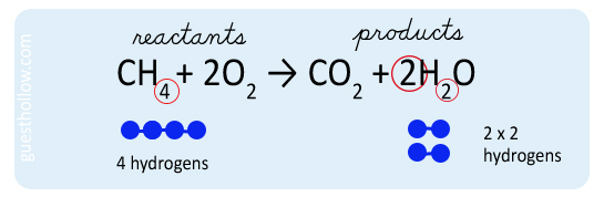 Science textbook graphic