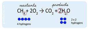 Science textbook graphic