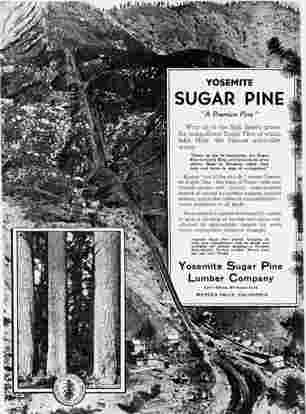Yosemite Sugar Pine Lumber Company - flyer side one