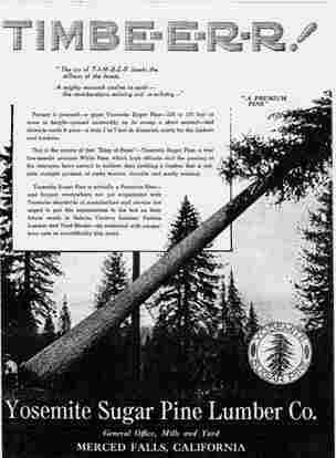 Yosemite Sugar Pine Lumber Company - flyer - side two.
